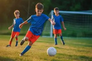 约基奇与穆,雷合取,击败黄蜂,香港赛马会,香港马会,赛马赛事,赛马资讯